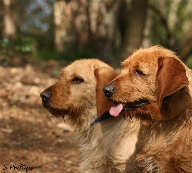 beckie and rosie 